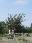 Агдам