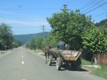 Конные подводы встречаются очень часто