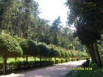 Кисловодск