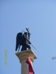 SDC11738