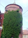 Рига