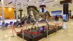В морском терминале