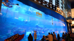 Dubai Aquarium and Underwater Zoo