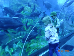 Dubai Aquarium and Underwater Zoo
