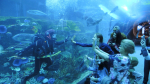 Dubai Aquarium and Underwater Zoo