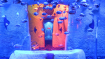 The Lost Chambers Aquarium