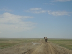 По дороге в Жаланаш