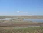 дно Большого Аральского моря