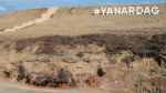Yanardag