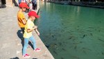 Карпы Урфы